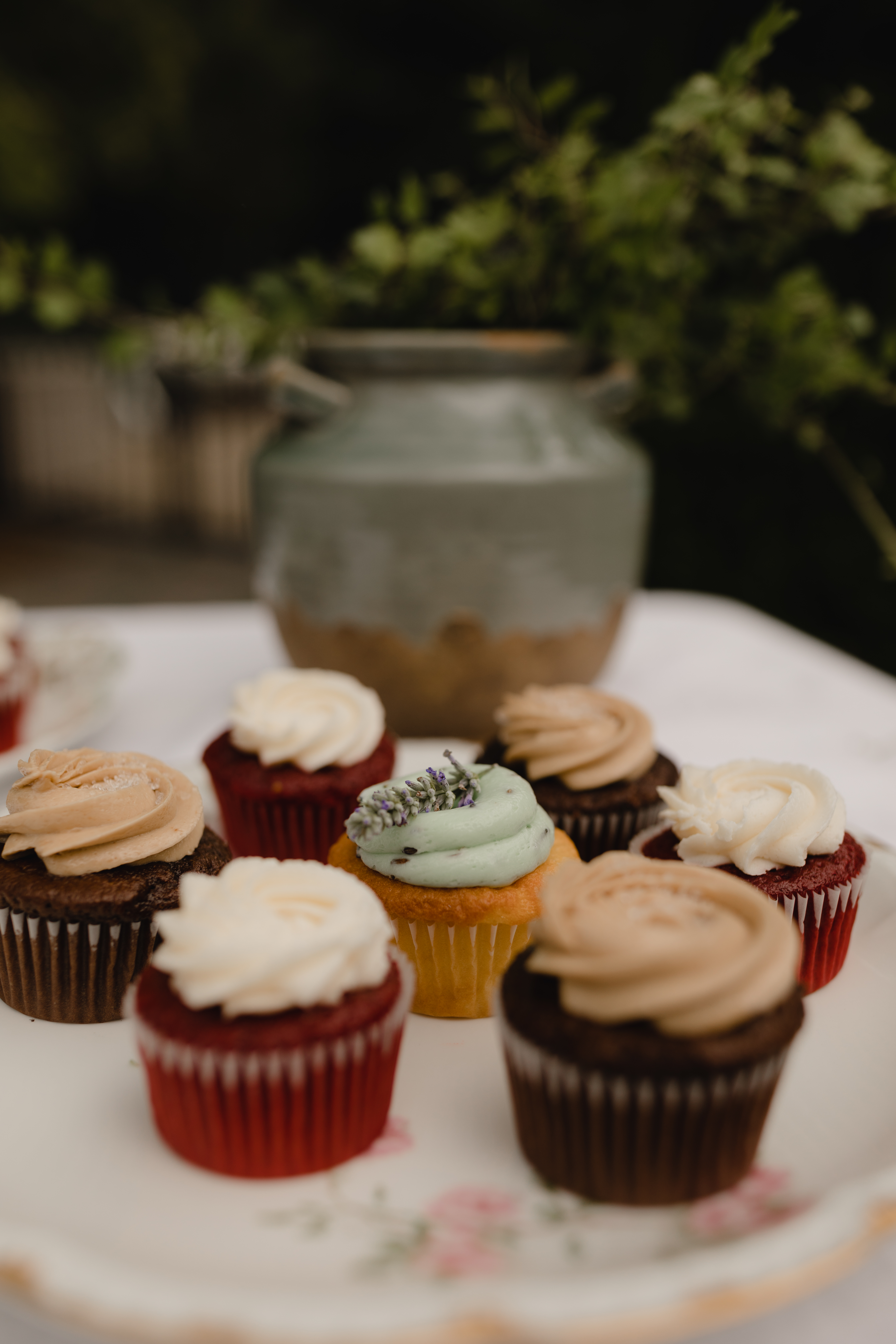 Cake, Cupcakes, and Cookies